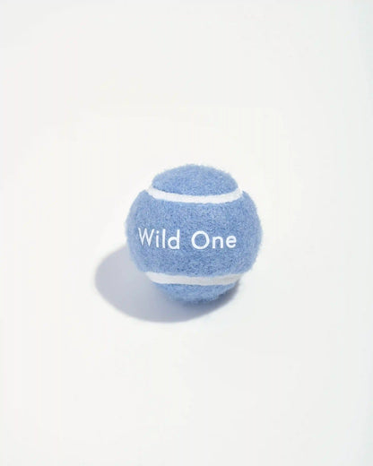 Tennis Balls 4-Pack