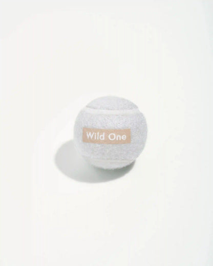 Tennis Balls 4-Pack