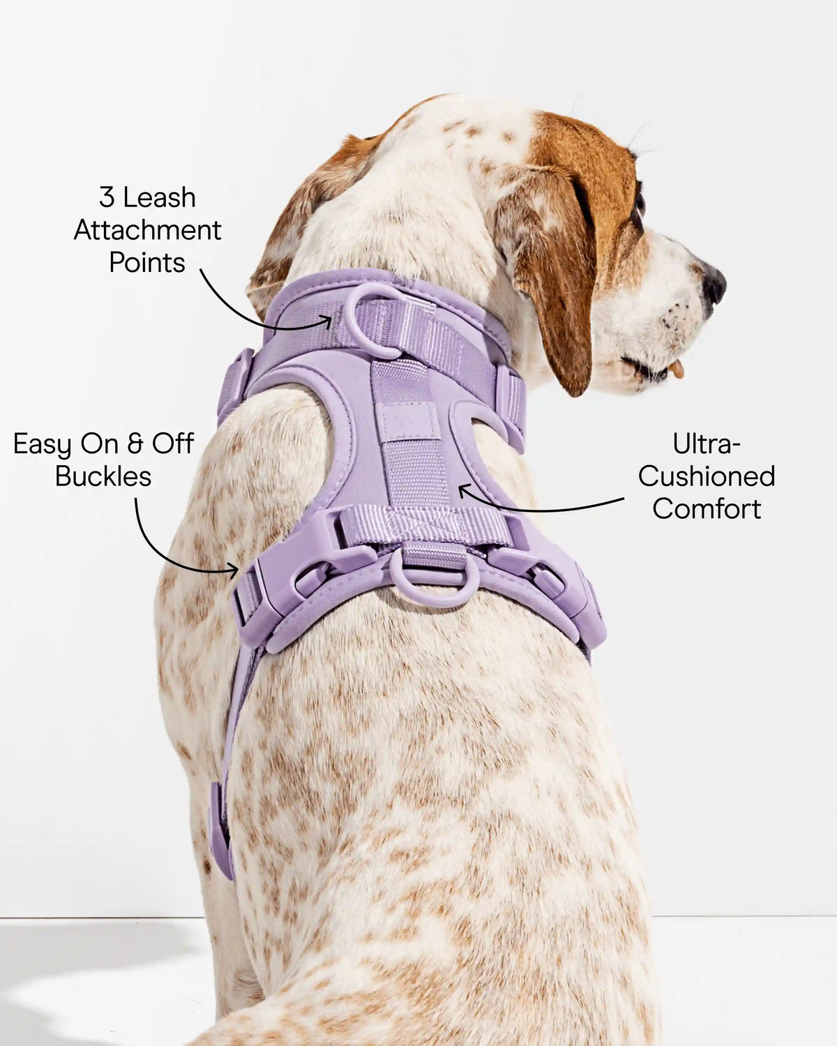 Cushioned Dog Harness