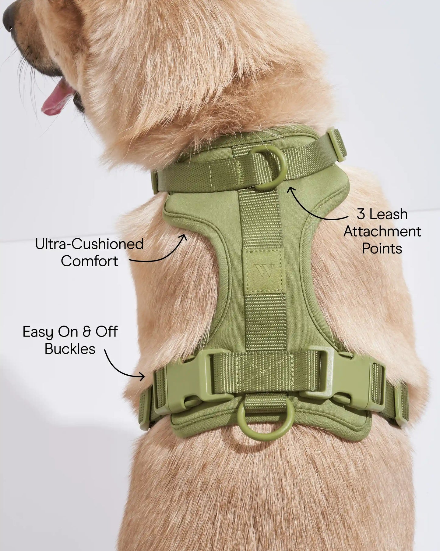 Cushioned Dog Harness