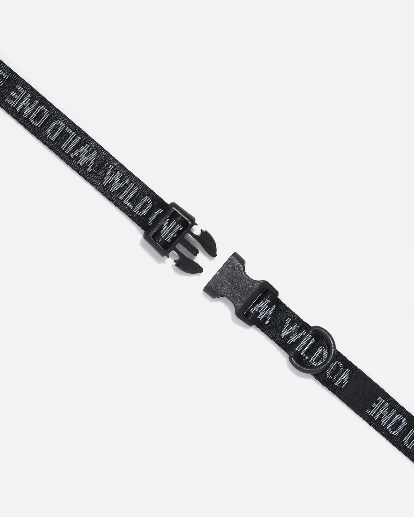 Quick-Release Dog Collar