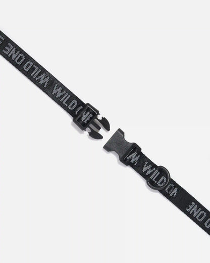Quick-Release Dog Collar