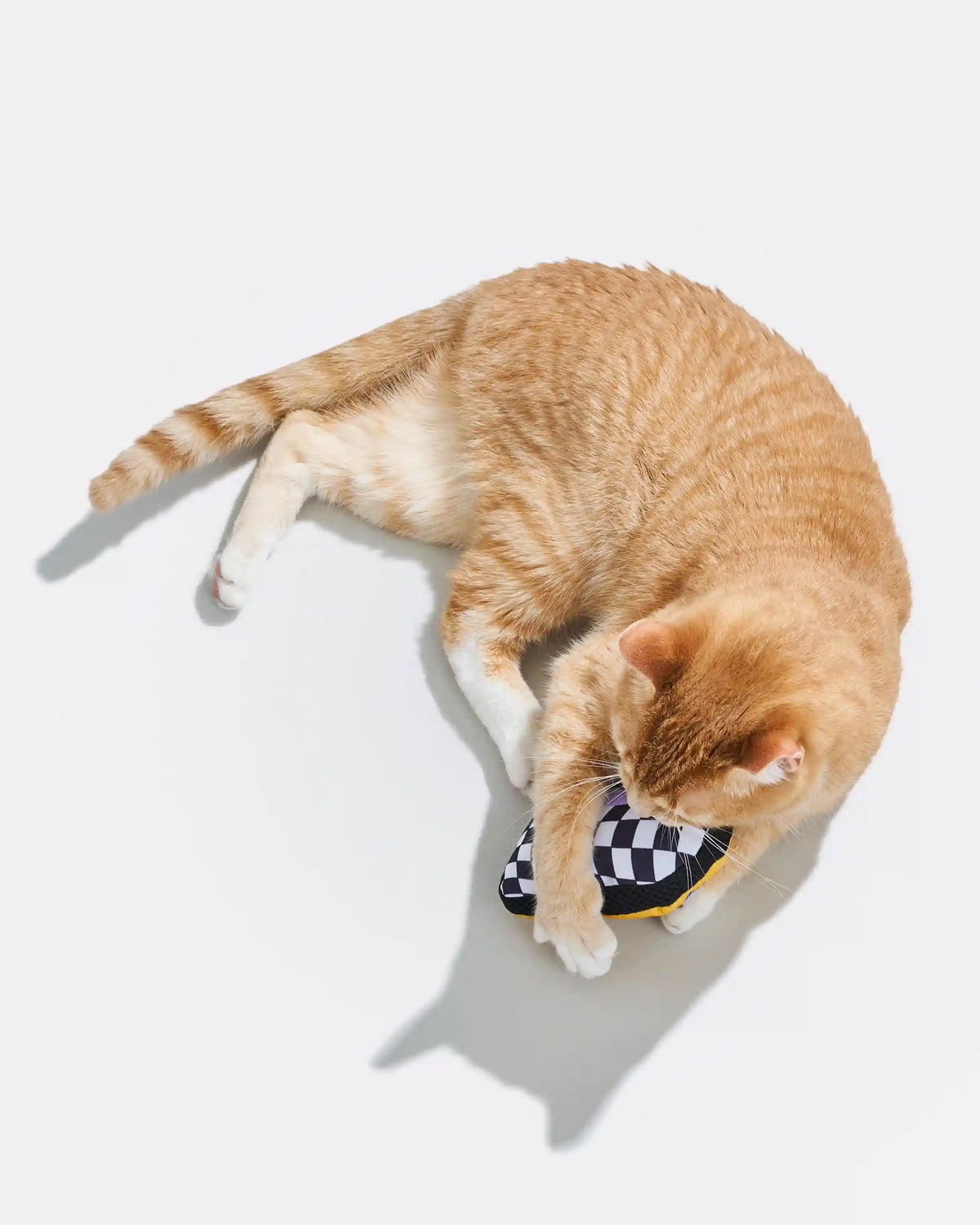Playful Plush Cat Toy