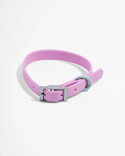 Waterproof Dog Collar