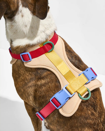 Cushioned Dog Harness