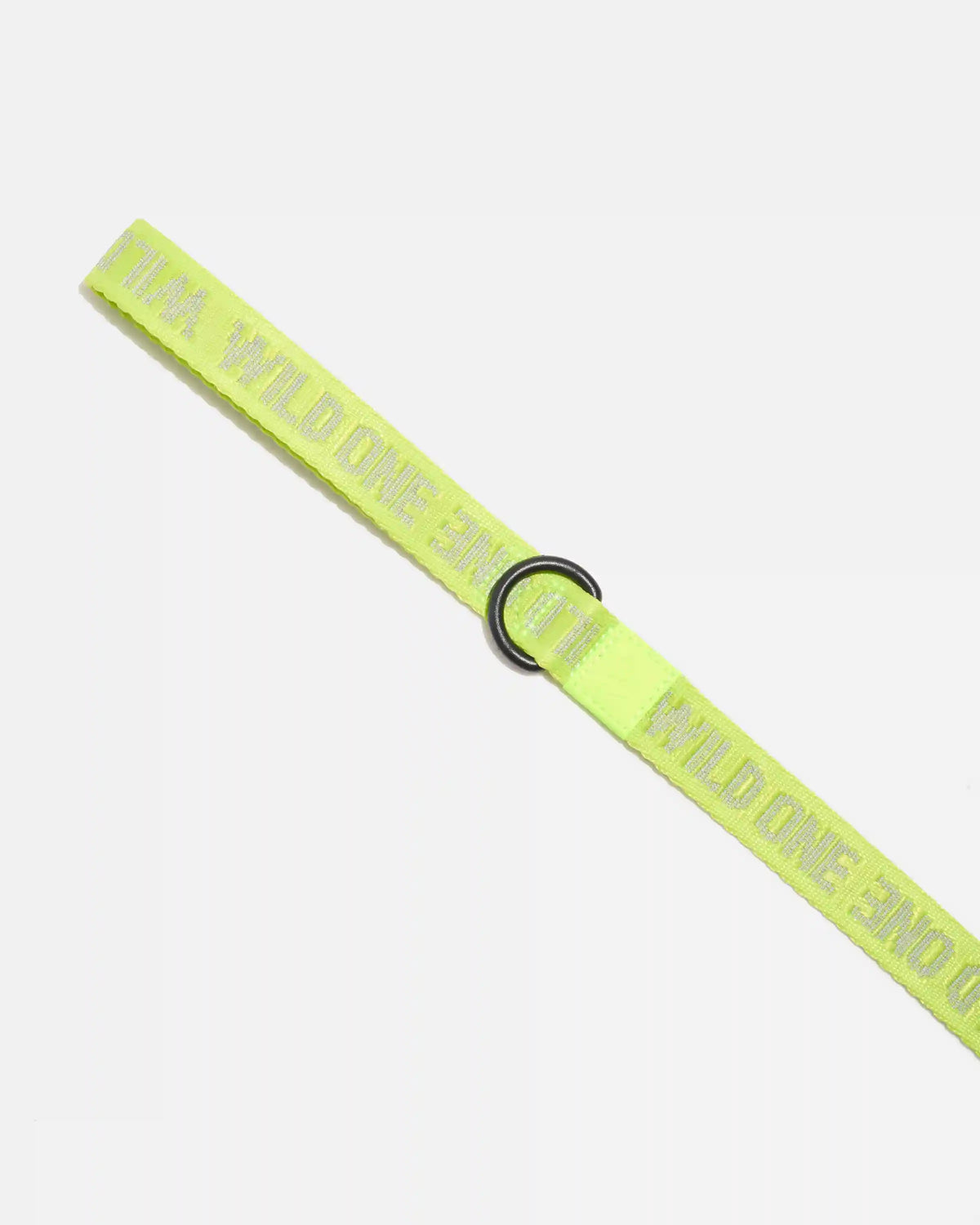 Lightweight Dog Leash