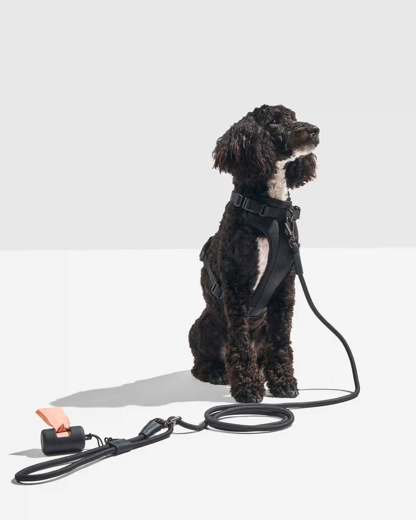 Hands-Free Rope Dog Leash