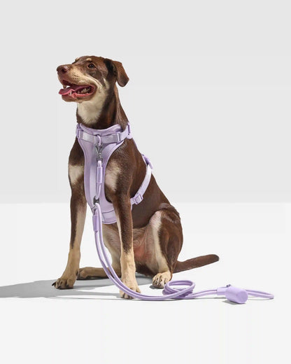 Hands-Free Rope Dog Leash