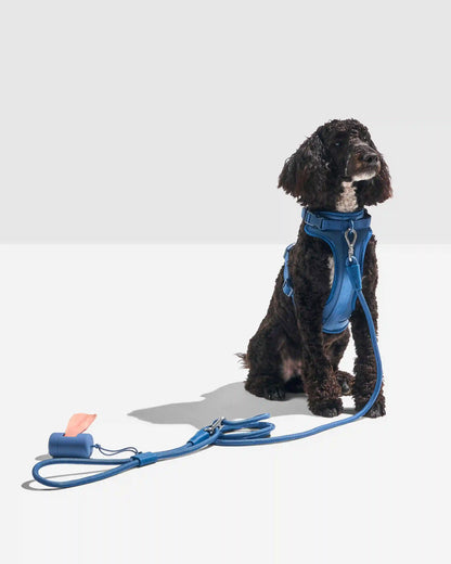Hands-Free Rope Dog Leash