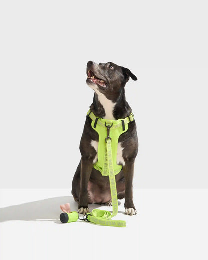 Step-In Dog Harness