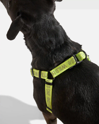 Step-In Dog Harness