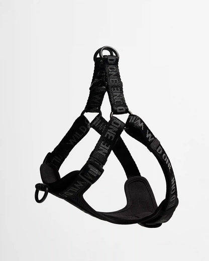 Step-In Dog Harness