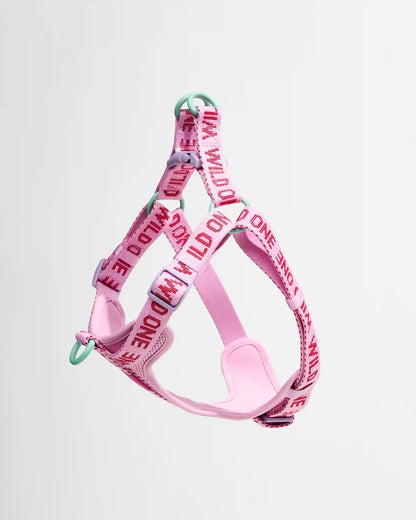 Step-In Dog Harness