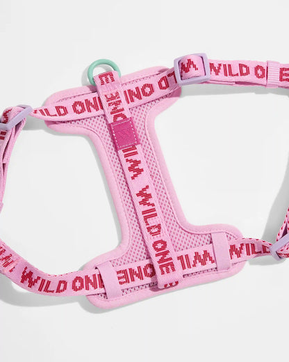 Step-In Dog Harness