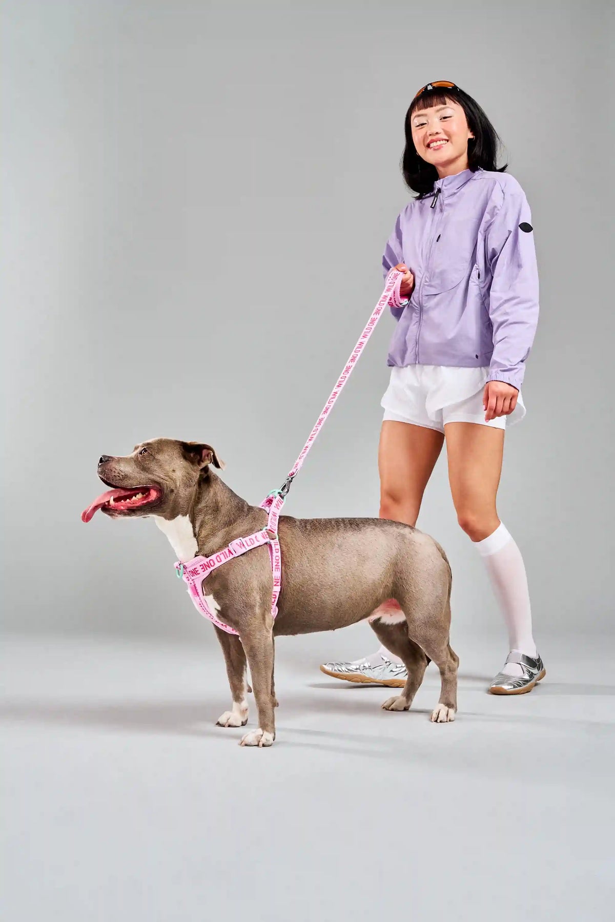 Step-In Dog Harness