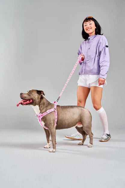 Lightweight Dog Leash