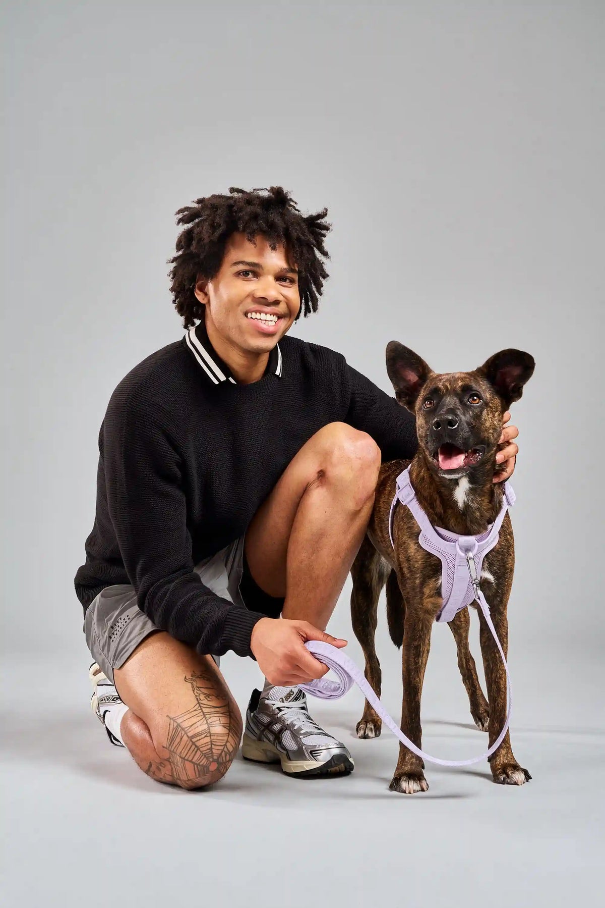 Step-In Dog Harness