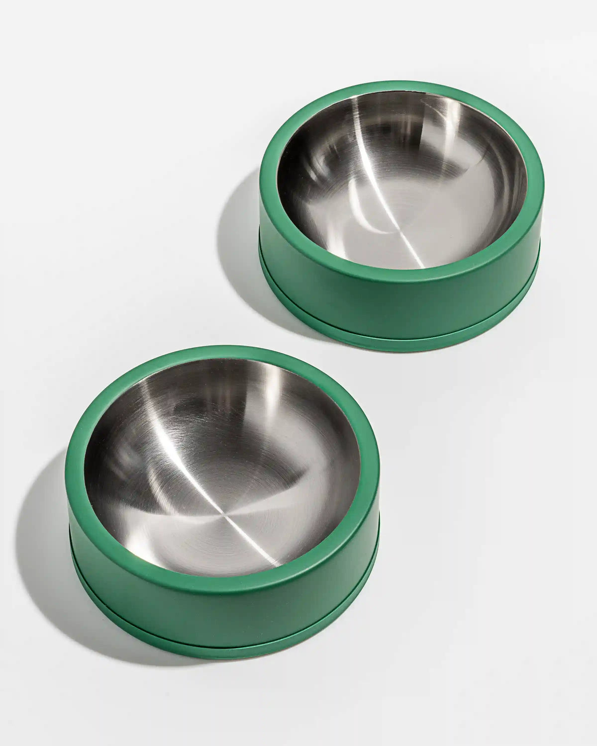 Dog Bowl
