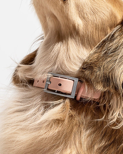 Waterproof Dog Collar
