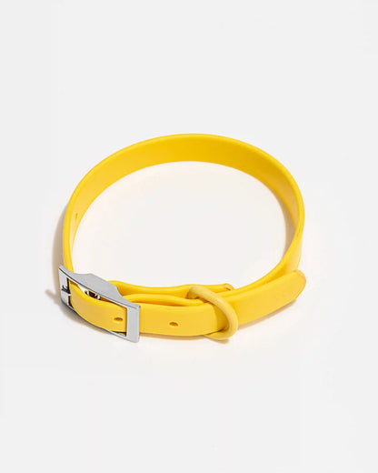 Waterproof Dog Collar