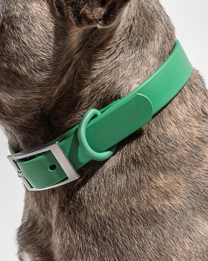 Waterproof Dog Collar