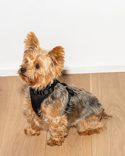 Cushioned Dog Harness