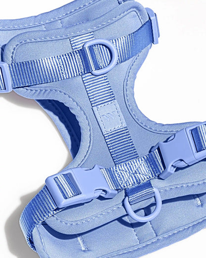 Cushioned Dog Harness