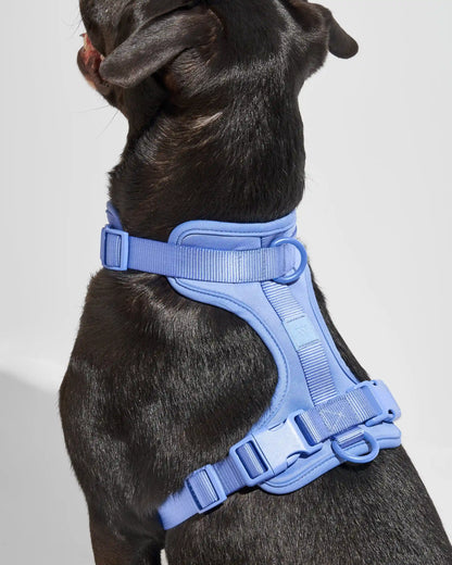 Cushioned Dog Harness