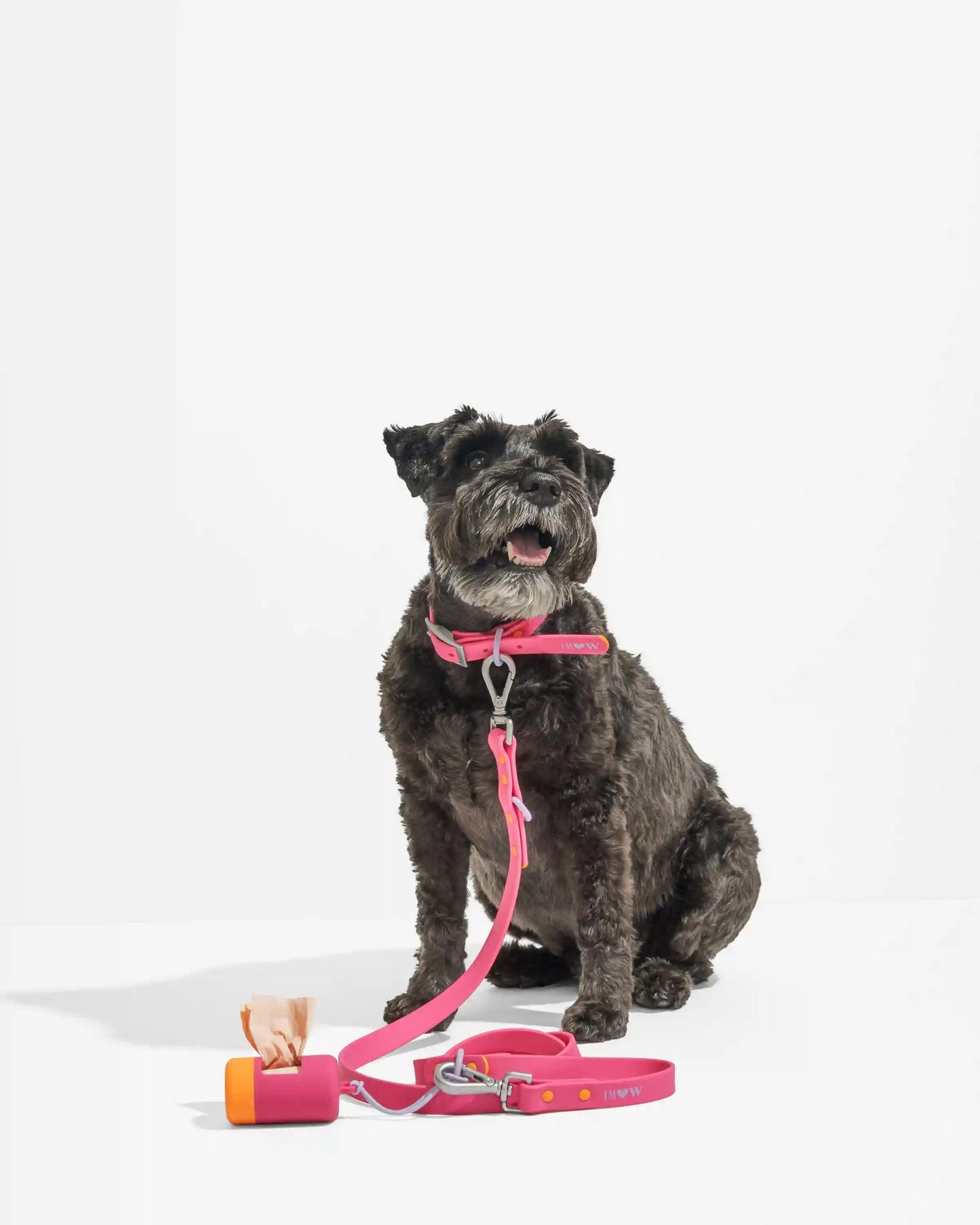 Waterproof Dog Collar