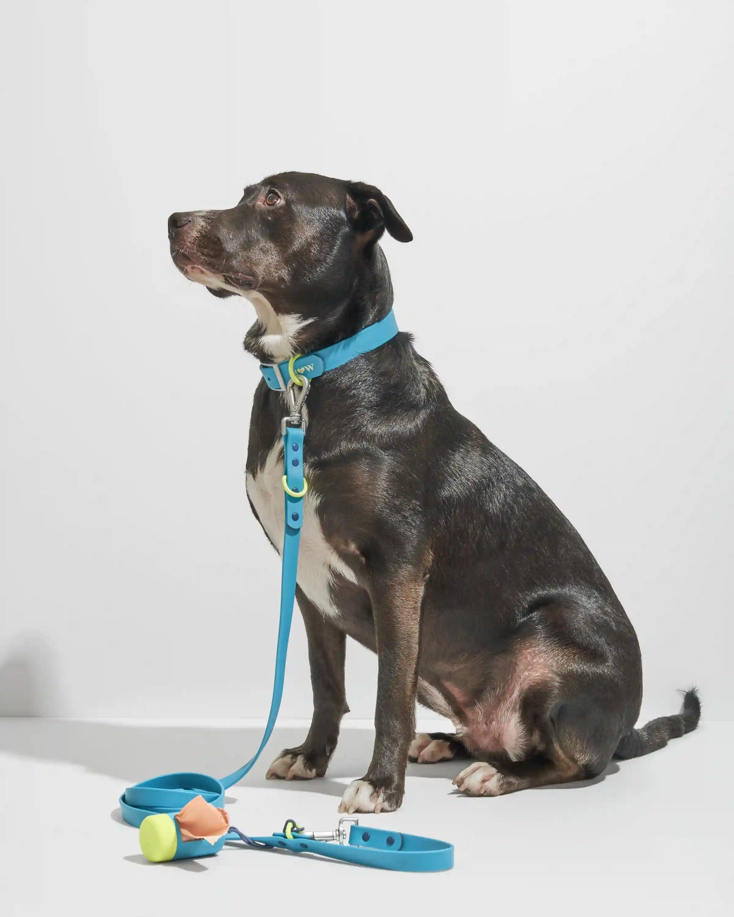 Waterproof Dog Collar