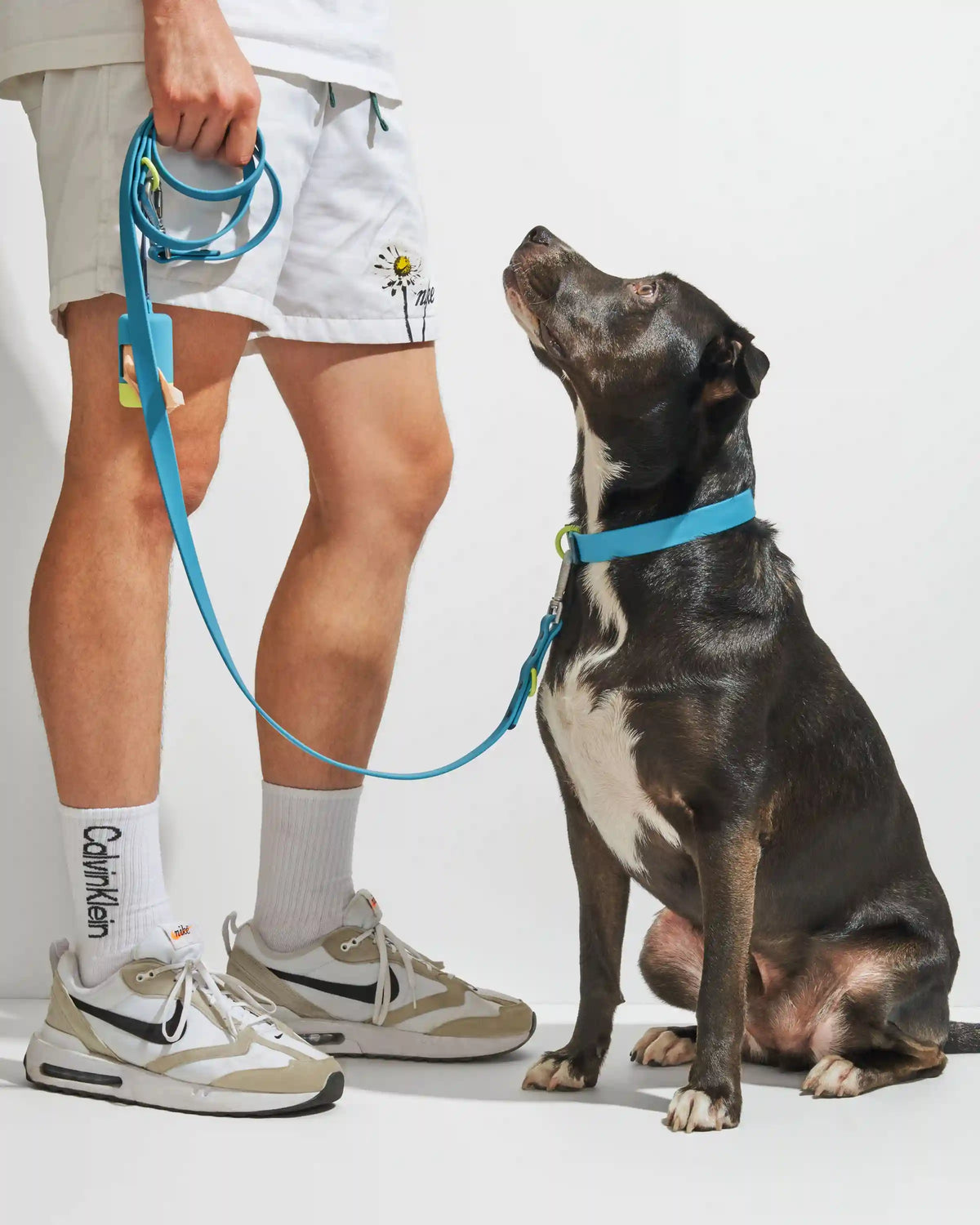 Waterproof Dog Collar