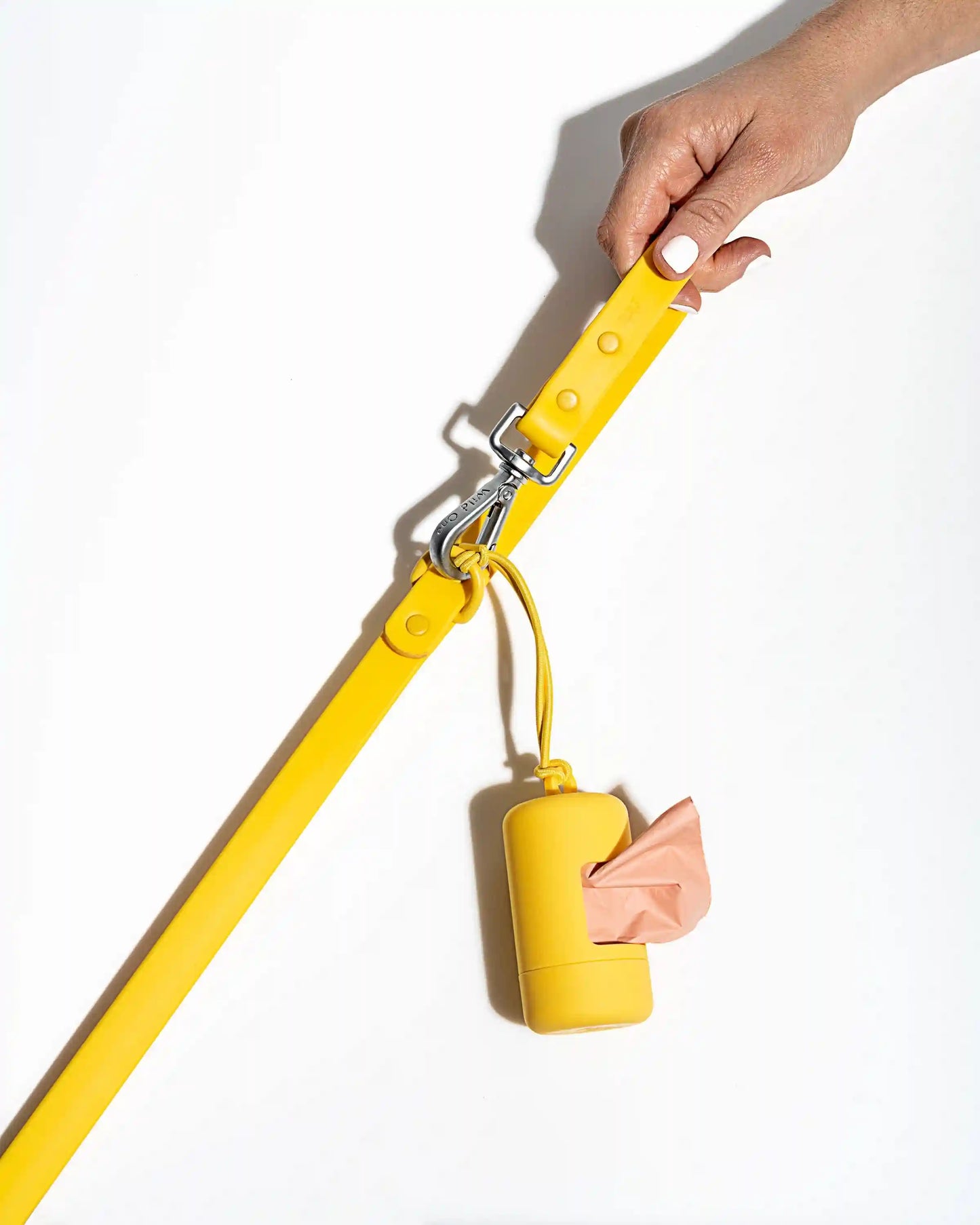 Waterproof Dog Leash