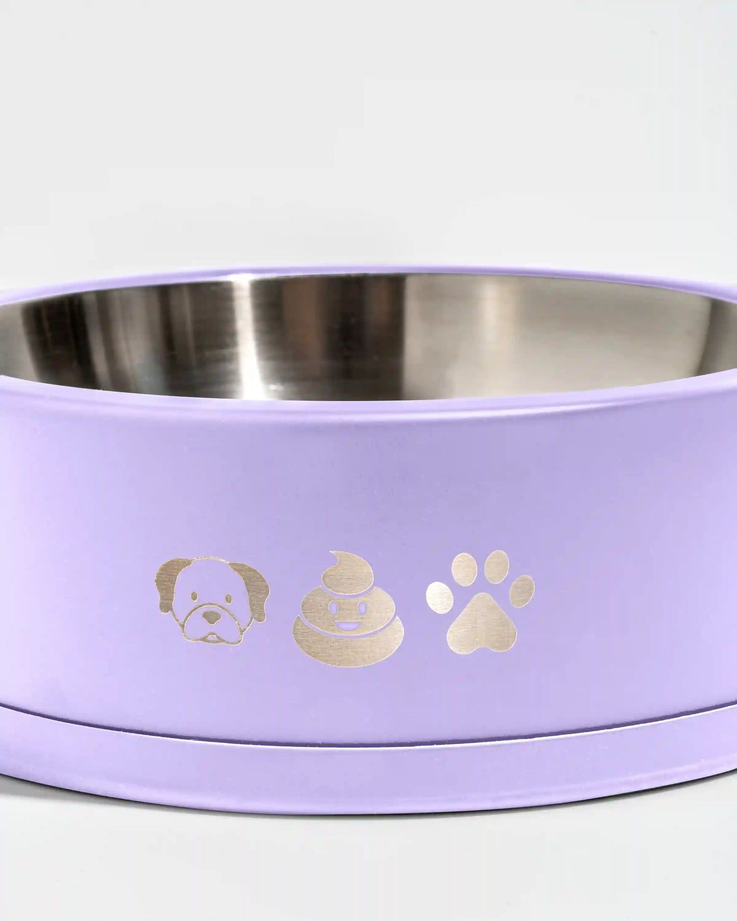 Dog Bowl