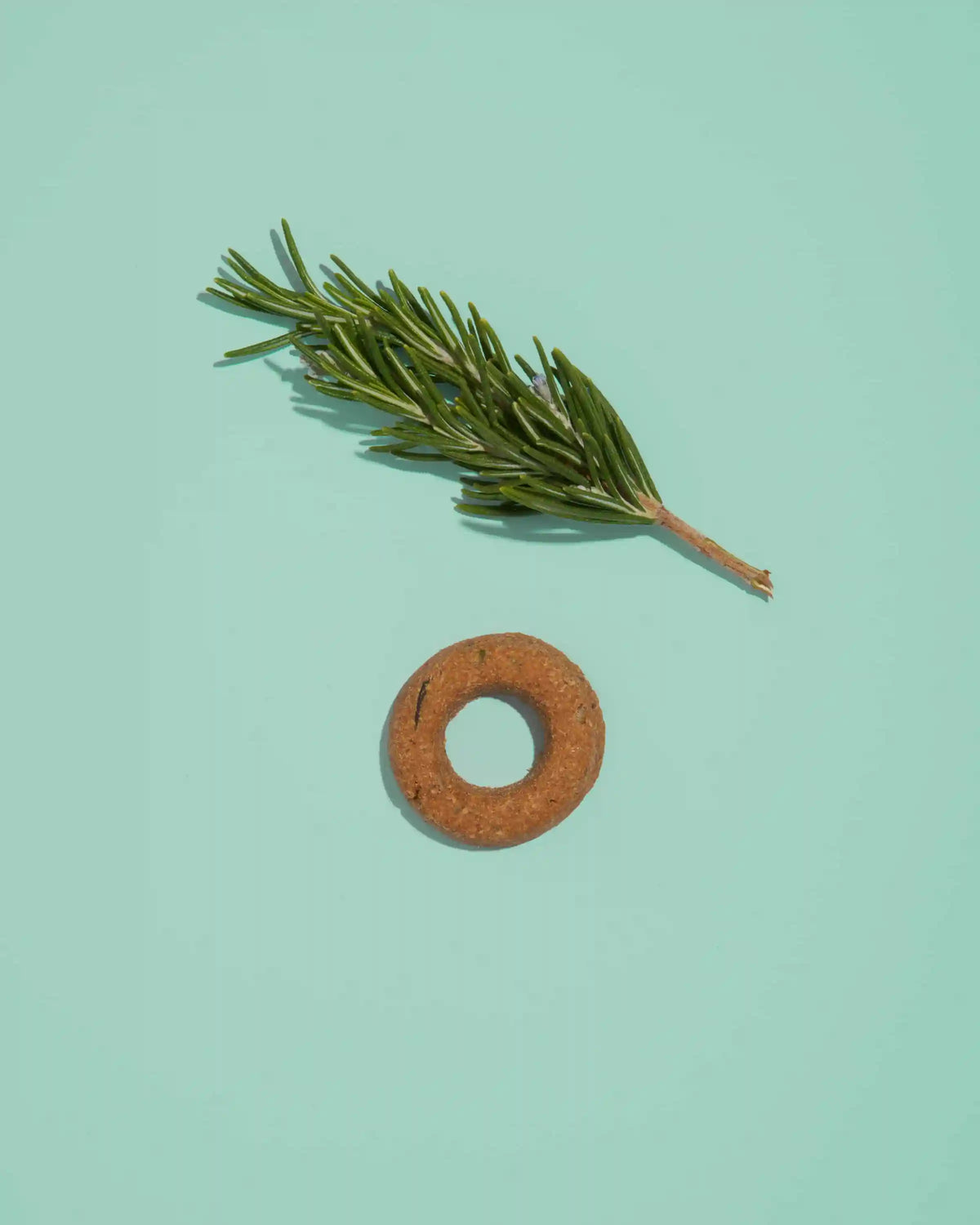 Organic Baked Treats