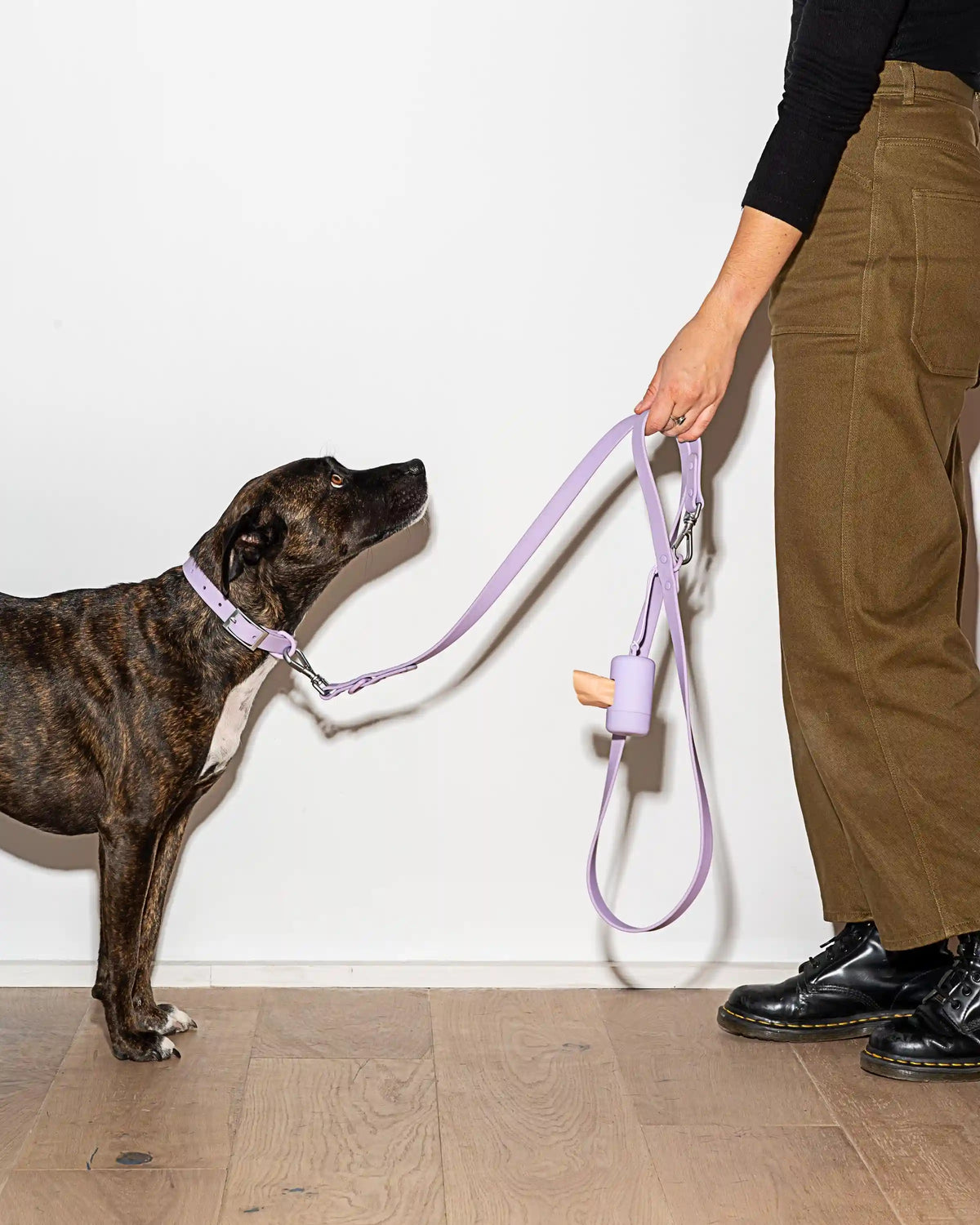 Waterproof Dog Collar