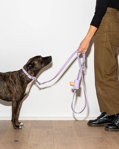 Waterproof Dog Collar