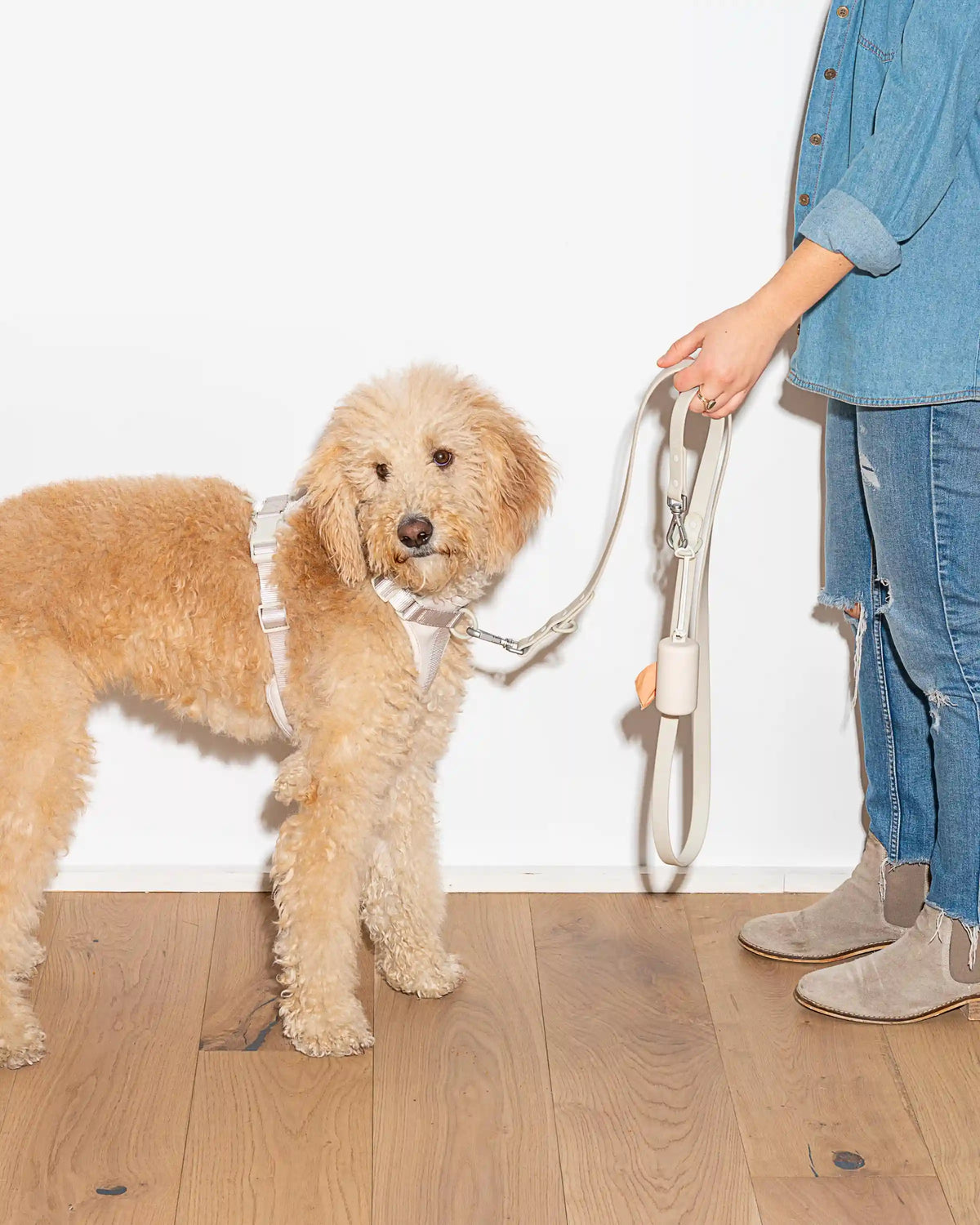 Waterproof Dog Leash
