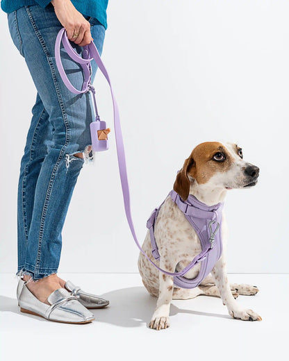 Cushioned Dog Harness