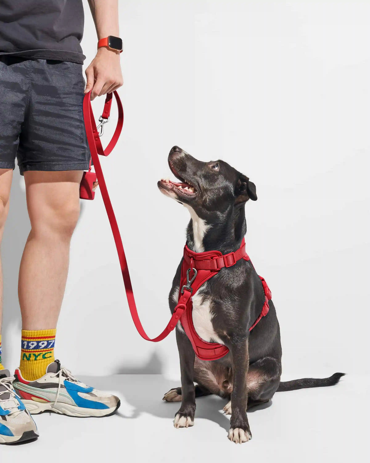Waterproof Dog Leash