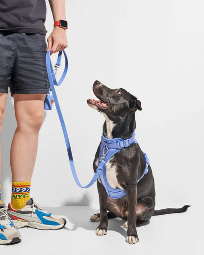 Waterproof Dog Leash