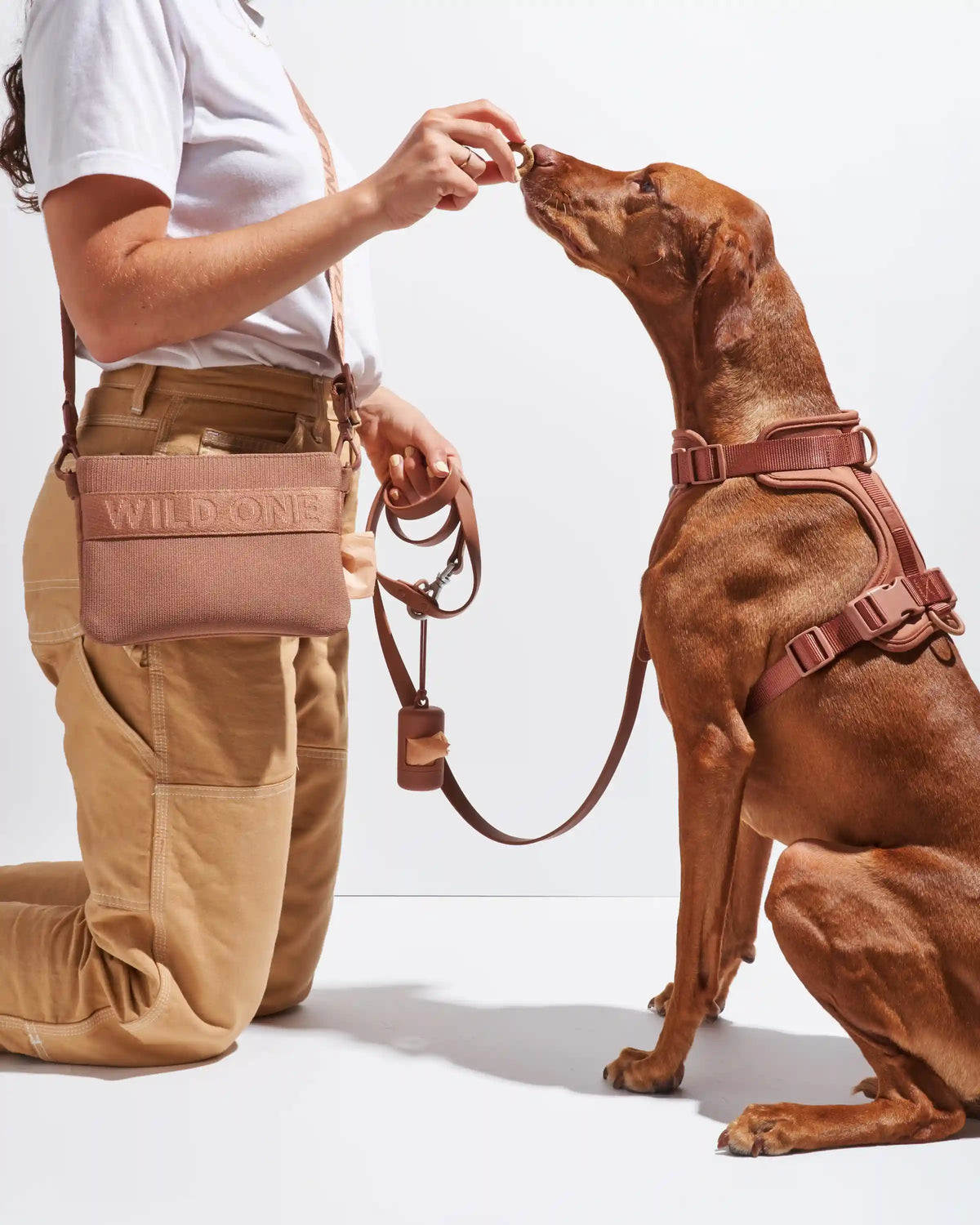 Treat Pouch