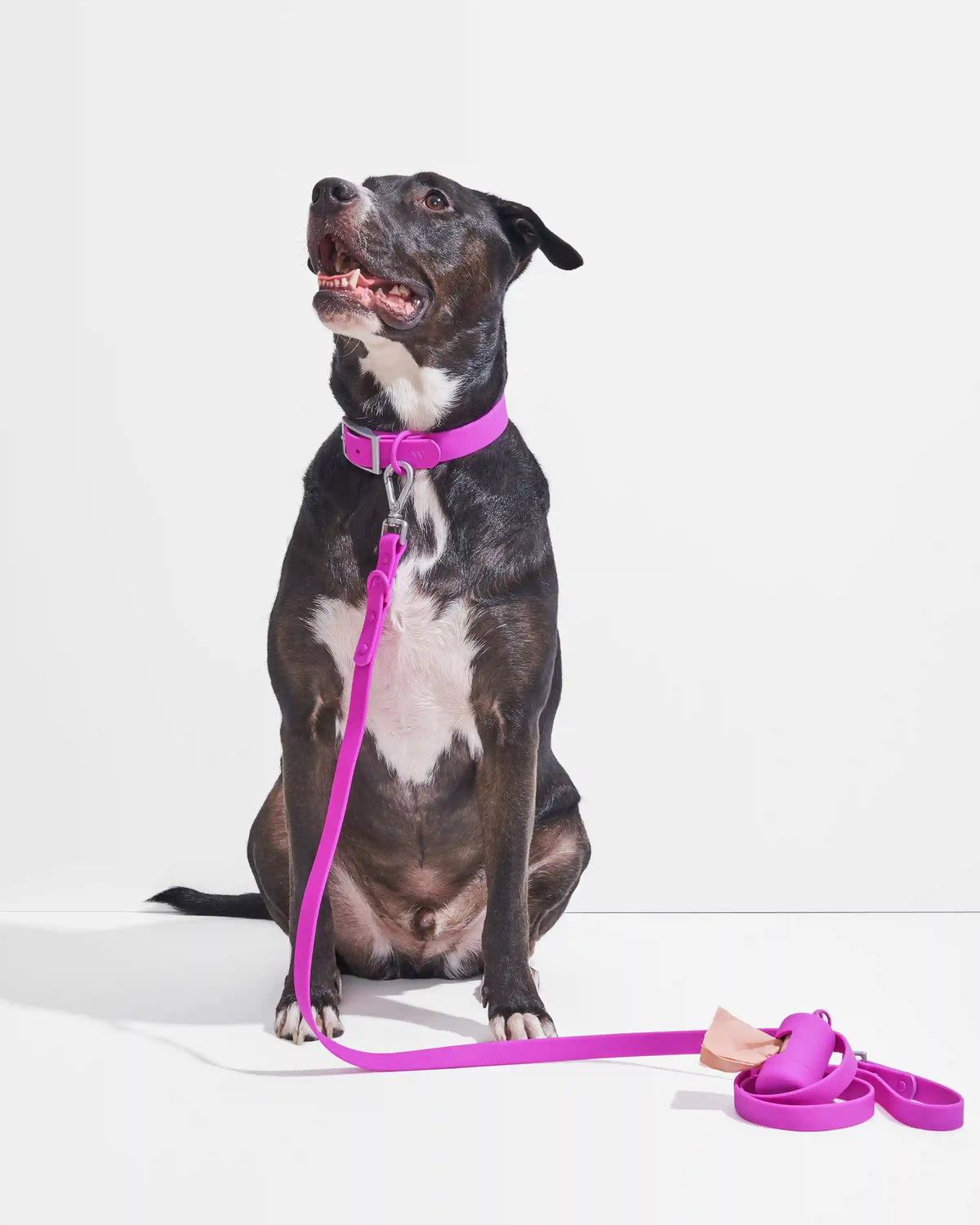 Waterproof Collar + Waterproof Leash Walk Kit