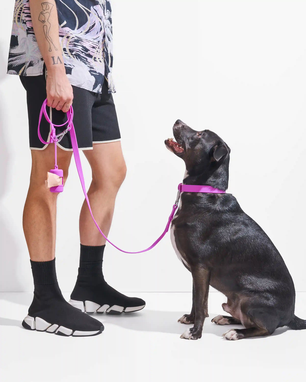 Waterproof Dog Collar