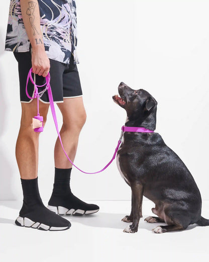 Waterproof Dog Collar