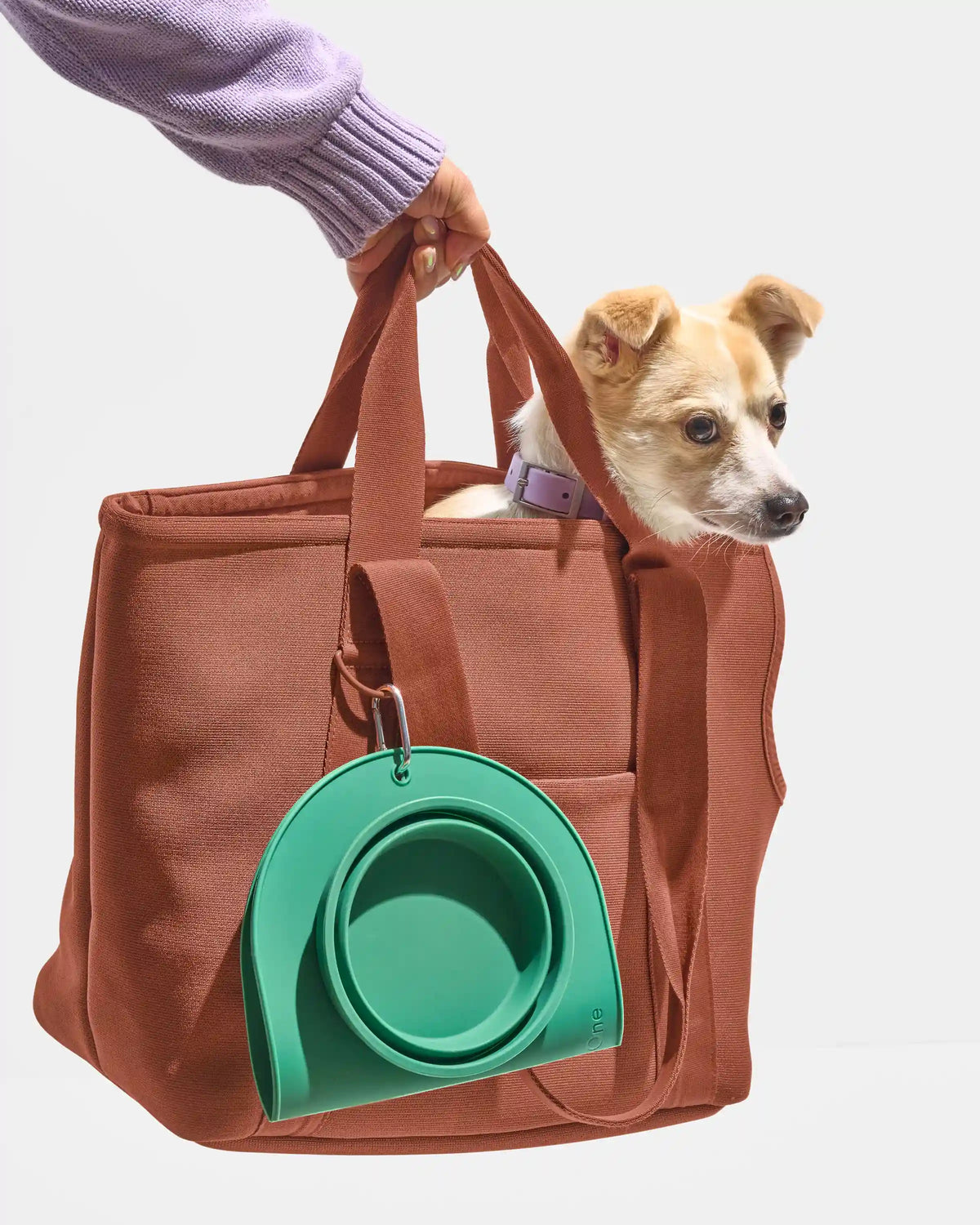 Travel Bowl Duo