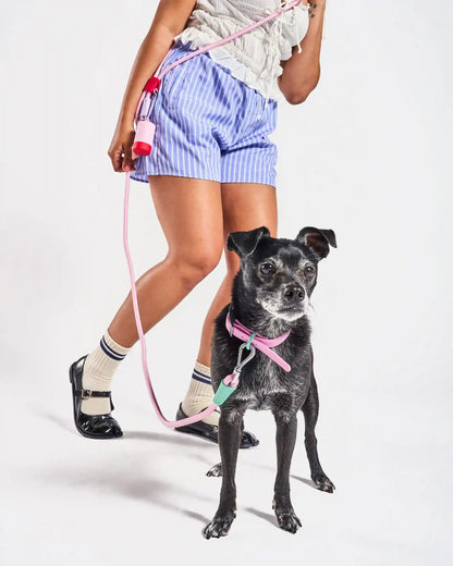 Waterproof Dog Collar