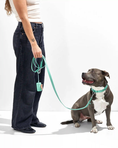 Waterproof Dog Leash