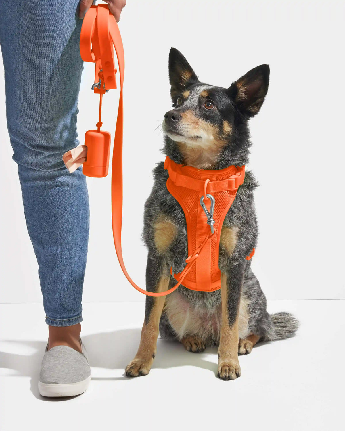 Waterproof Dog Leash