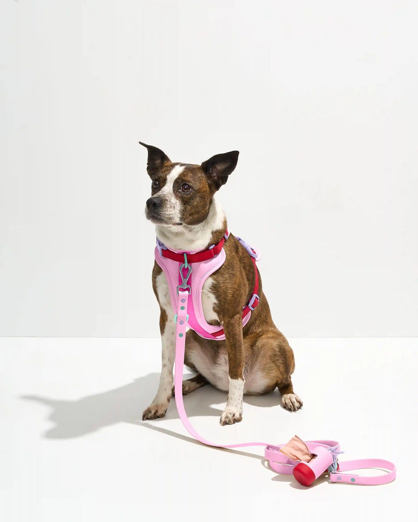 Waterproof Dog Leash