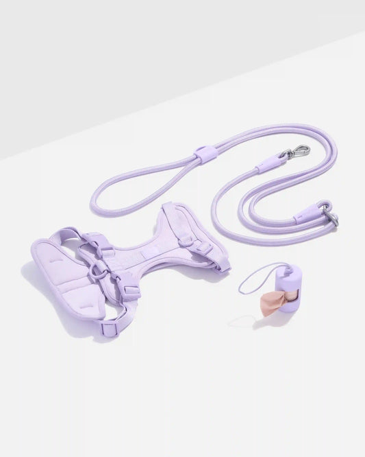 Cushioned Harness + Hands-Free Rope Leash Walk Kit
